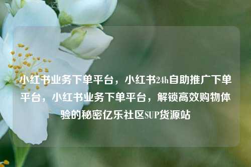 小红书业务下单平台	，小红书24h自助推广下单平台，小红书业务下单平台，解锁高效购物体验的秘密亿乐社区SUP货源站  第1张